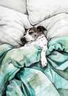 DogAnd#039;s life 6 Art Print