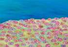 Summertime Art Print