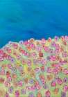 Summertime Art Print
