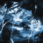 Blue Floral Art Print