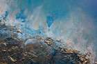 In the Shallows Art Print