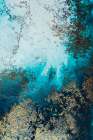 Clear Waters Abstract Art Print