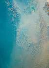 Shallow Waters  Copy Art Print