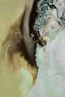 Earthly Motion 1 Art Print