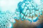 Moonlit Reef Art Print