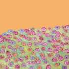 Summertime Art Print