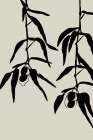 Olive twigs Minimalist Print