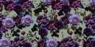 Gothic_Moss Art Print