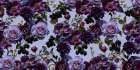 Gothic_ Lilac Art Print