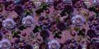 Gothic_Purple Art Print