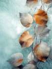 Watercolor leaves nature floral 9 Art Print
