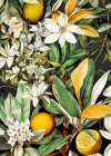 Flora Meadow (56) Art Print