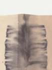 Study NAd2 | Medulla Minimalist Print