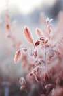 Naturedetailno3 Art Print