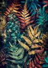 Vibrant Garden and ferns 4 Art Print