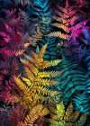 Vibrant Garden and ferns 5 Art Print
