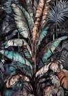Botanical palms 2 Art Print