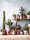 Cactus and succulents 4 Art Print