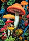 Nature 3 mushrooms Art Print
