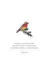 Psalm 91:4 Art Print