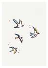 Flight of Birds Art Print