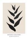 Botanical Collection Nr. 3 Minimalist Print