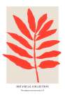 Botanical Collection Nr. 1 Art Print