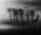 50 Shades of Fog Art Print