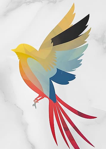 Colorful Bird Art Print