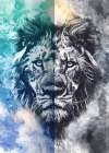 Lion Poster Art 01 Art Print