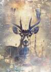 Deer Ink Illustration 03 Art Print