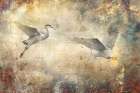 Birds Wall Art 04 Art Print