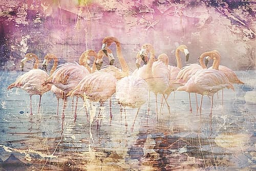 Flamingo Wall Art 01 Abstract Art Print