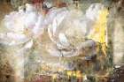 Flowers Wall Art 02 Art Print