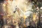 Horse Art Wallart Art Print