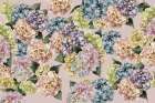 Hydrangeas_Pinky Art Print