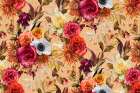 Cider_Gold Peach Fuzz Art Print