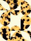Format 874 Abstract Art Print