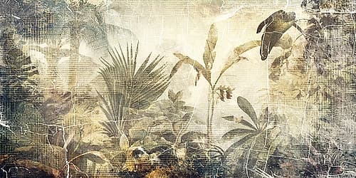 Monstera Wall Art 03 Art Print