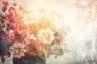 Flower Wall Art 17 Art Print