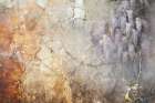 Flower Wall Art 19 Art Print