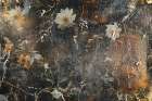 Flower Wall Art 33 Art Print