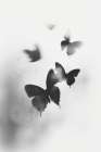 Danceofthebutterfliesno3 Art Print
