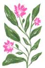 Corn Flower Art Print