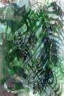Jungle Canopy 1 Landscape Print
