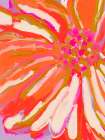 Abstract flower detail Art Print