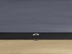 Seagull under beach umbrella Art Print