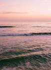 San Diego Surfers IV Art Print