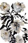 Le Jardin Botanique Black and White Flower Art Print