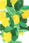 Lemons 1 Art Print